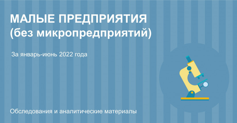 Основные показатели малых предприятий (без микропредприятий) Ульяновской области за январь – июнь 2022 года